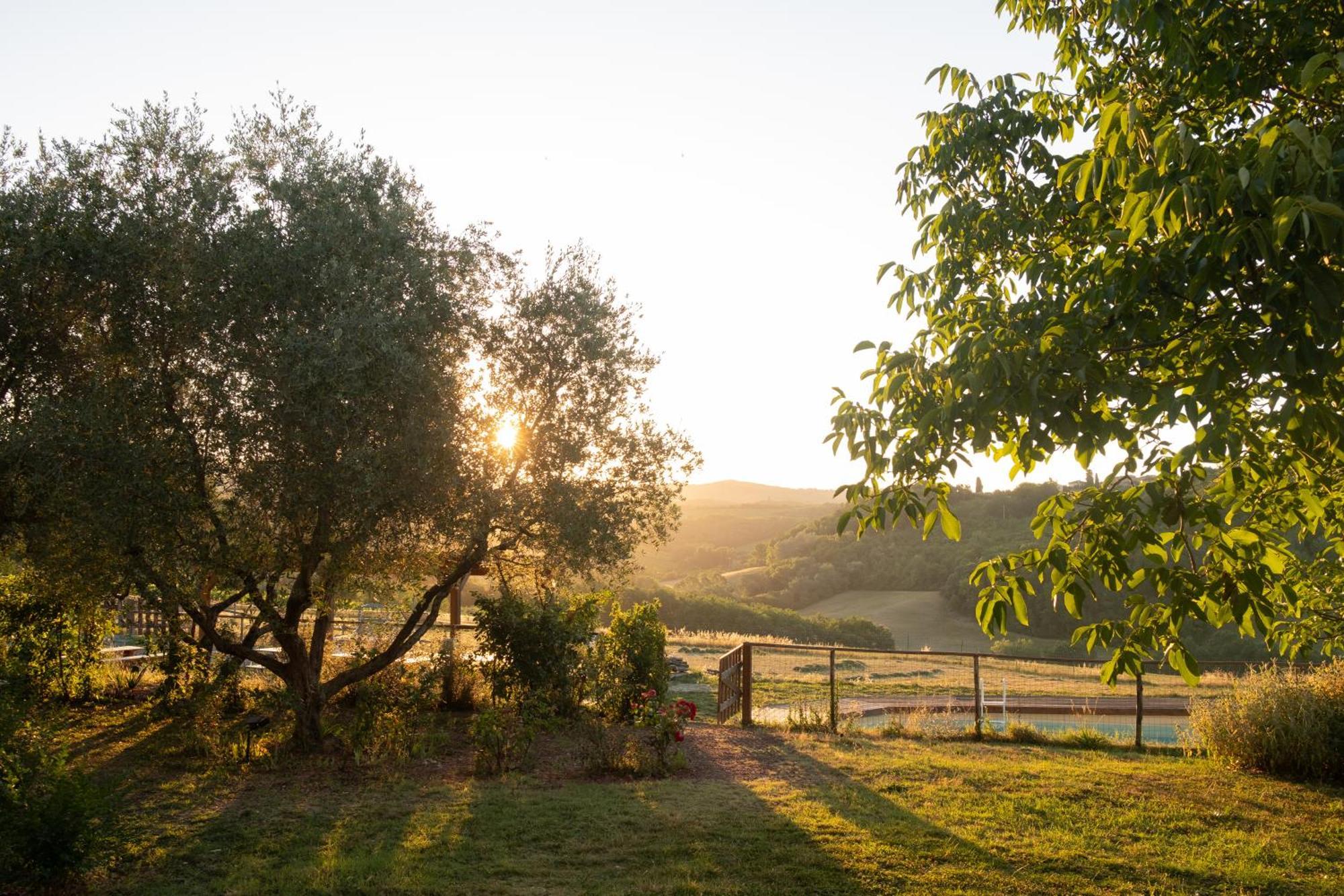 Agroturismo Le Tre Pietre - Podere Nel Chianti *