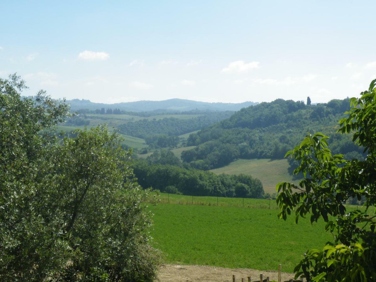 Le Tre Pietre - Podere Nel Chianti
