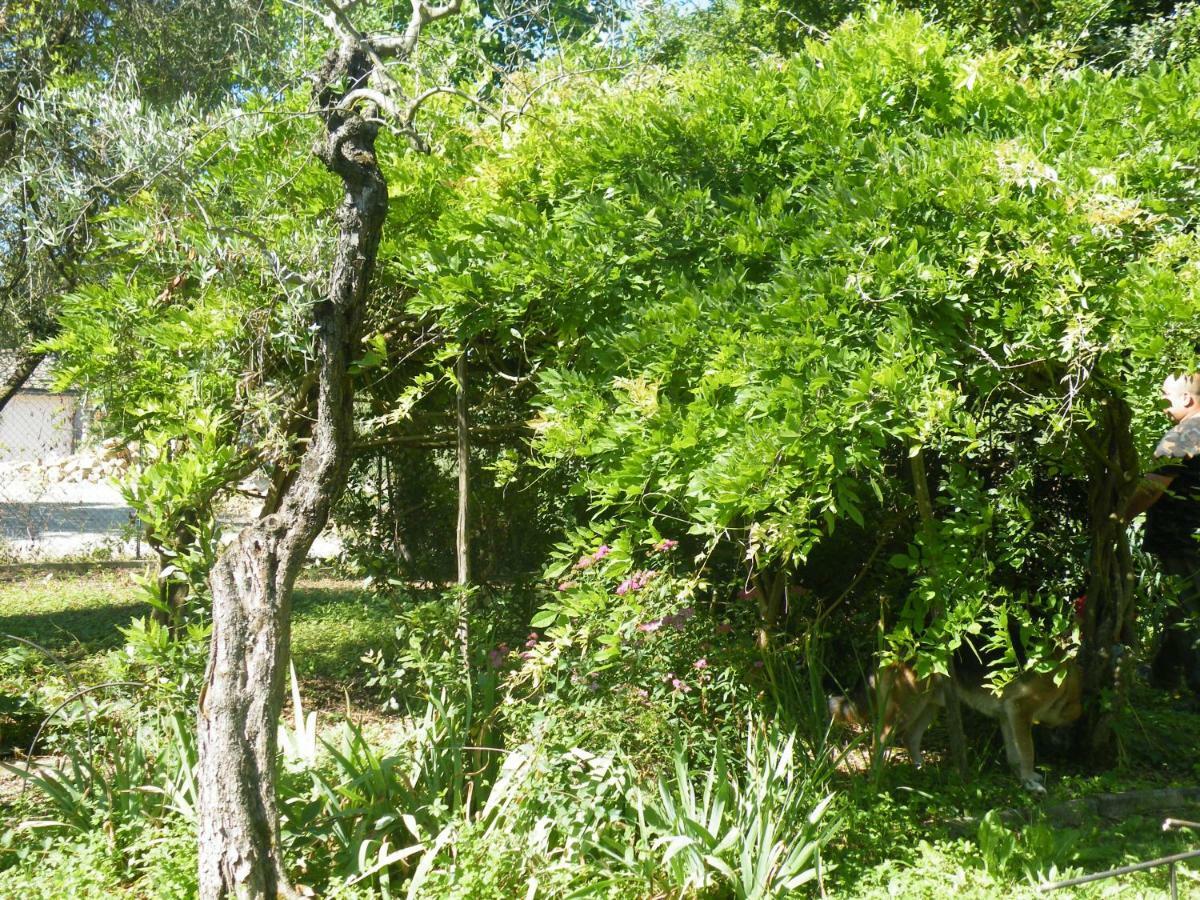 Le Tre Pietre - Podere Nel Chianti * Quercegrossa
